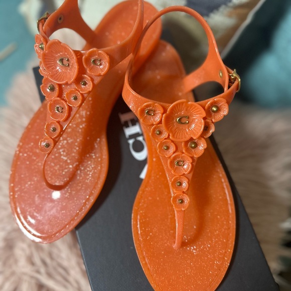 COACH - Picture 7 of 7